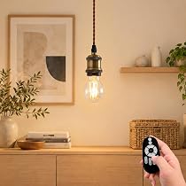 Amazon.co.jp : PNRLUX ペンダントライト E26口金 LED電球付き 調光調